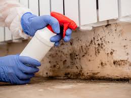 Best Attic Mold Removal  in Oakley, KS